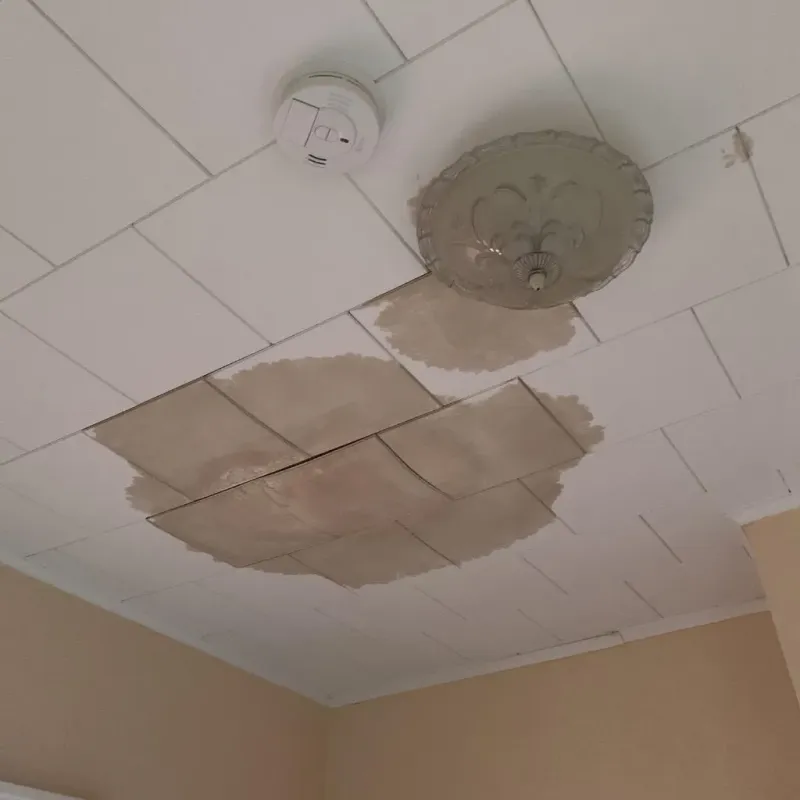 Ceiling Water Damage Repair in Dakota Dunes, SD