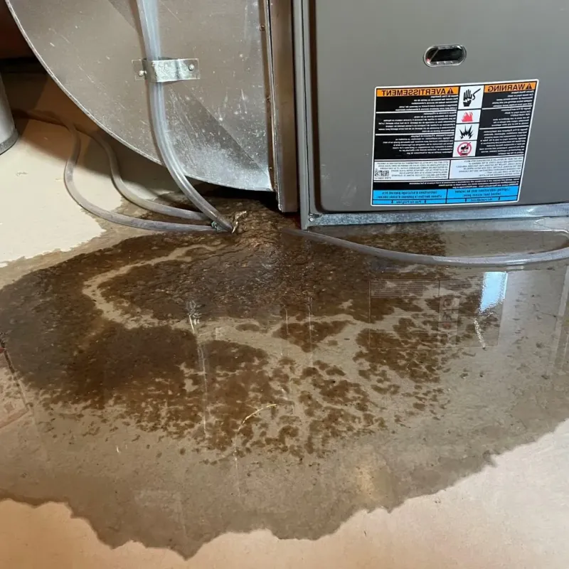 Pipe Burst and Leak Restoration in Dakota Dunes, SD